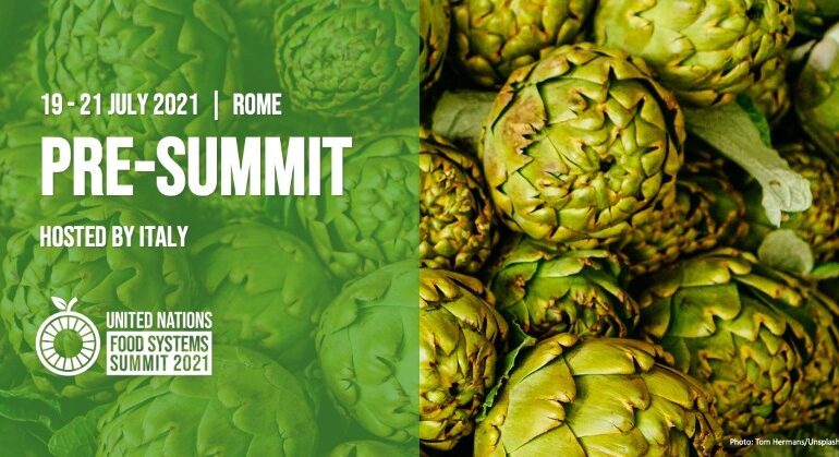 Onu e Italia: pre-vertice sui sistemi alimentari a Roma