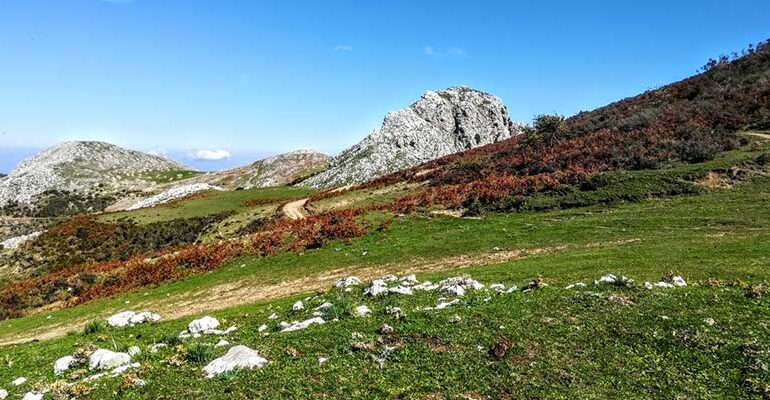 Nasce ‘Zone franche montane Sicilia’
