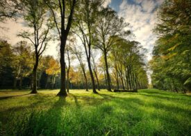 In Emilia-Romagna, 3,6 mln per parchi e aree protette