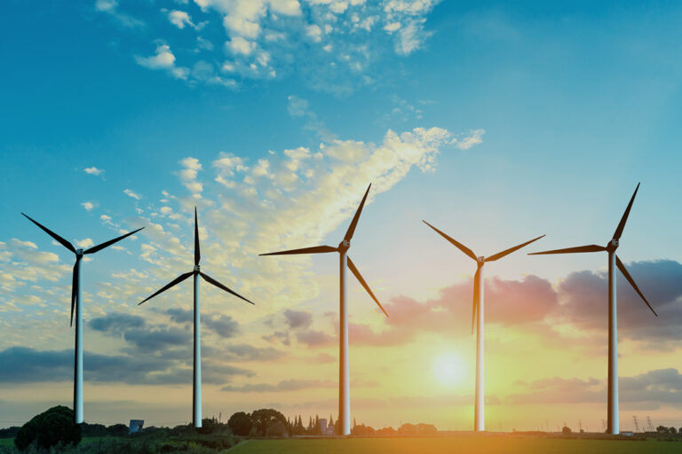 Nel 2020 si registra un crollo del 35% delle energie rinnovabili