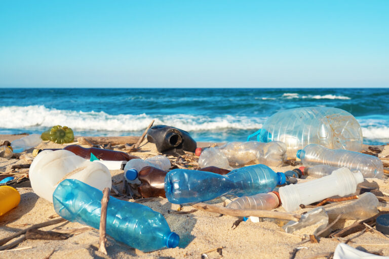 783 rifiuti ogni 100 metri di spiaggia, l’84% è plastica