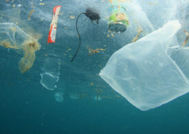Il 44% di inquinamento degli oceani deriva da imballaggi alimentari