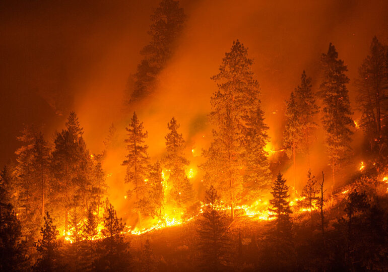 Parte la campagna estiva per la prevenzione e il contrasto di incendi boschivi