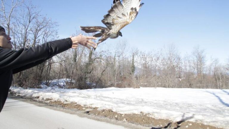 Cras, veri e propri ospedali della biodiversità