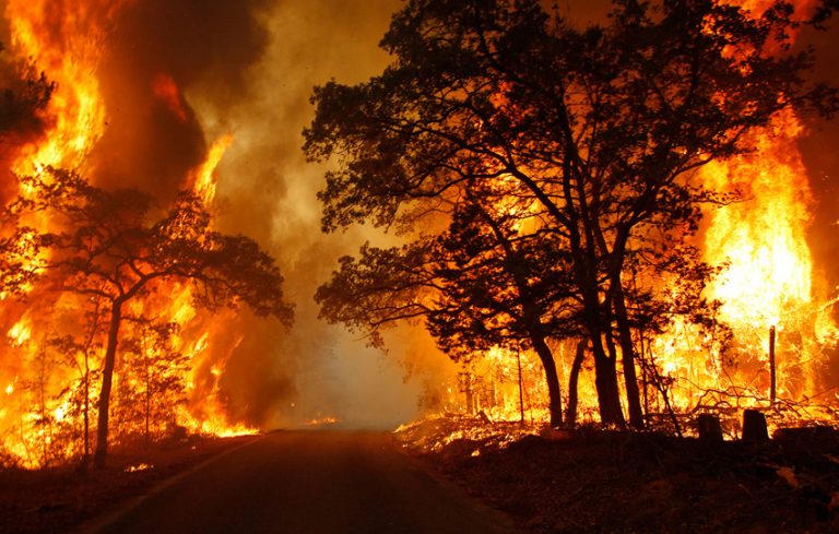 Coldiretti, sud in fiamme con estate rovente senza pioggia