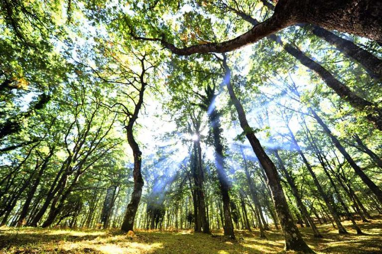 ‘Carta della Natura’, 30% del territorio ad alto valore naturale e 3,3% a rischio degrado