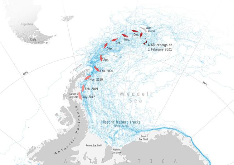 Iceberg gigante perde 152 mld tonnellate d'acqua dolce, rischi per habitat