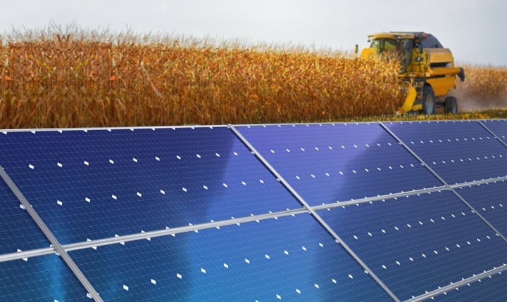 Agrivoltaico innovativo: definite finalmente le regole, domande dal 4 giugno